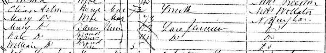 1871 census
          Nottingham