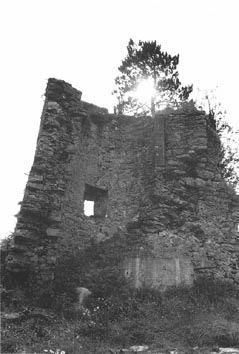 Dwyer castle