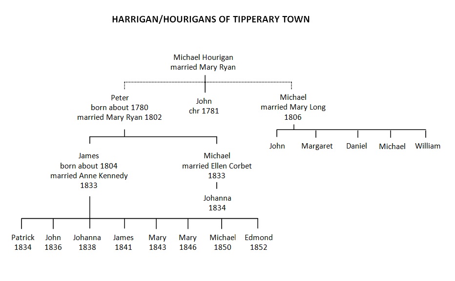 Harrigan
          Tree
