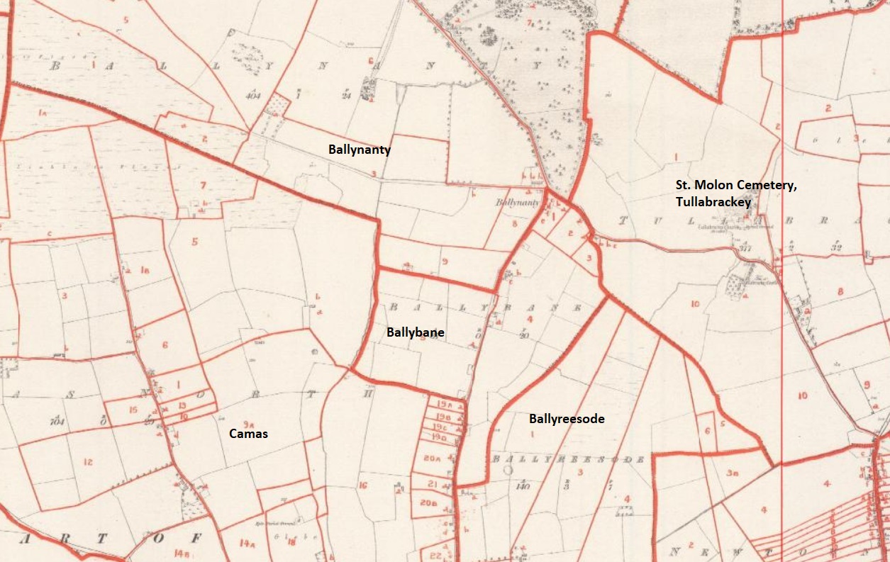 OS map Ballyneety