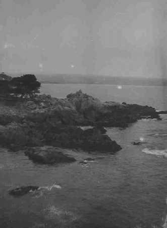 2516coast.jpg