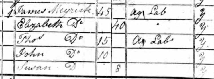 1841 census
          Wishaw