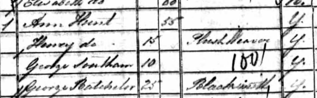 Ann Hunt 1841 census