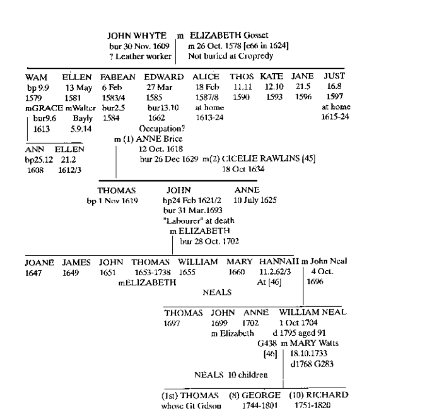 Whyte Pedigree